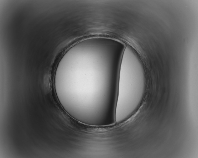 X0000090491164200707130925