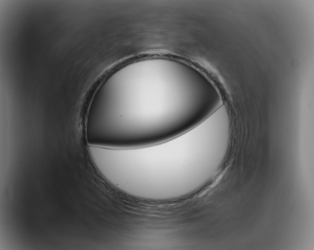 X0000090491167200707130925