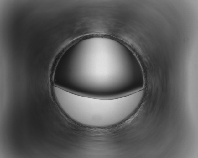 X0000090491168200707130925