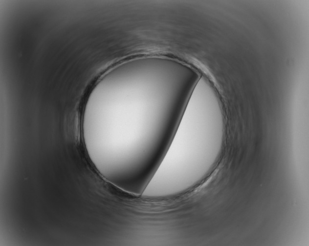 X0000090491171200707130925