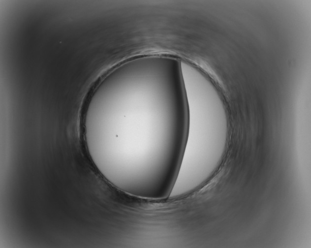 X0000090491173200707130925