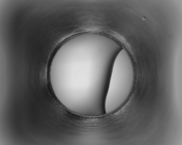 X0000090491174200707130925