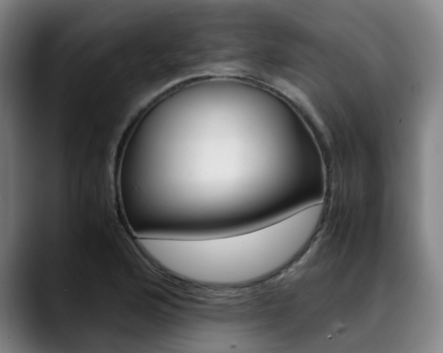 X0000090491176200707130925