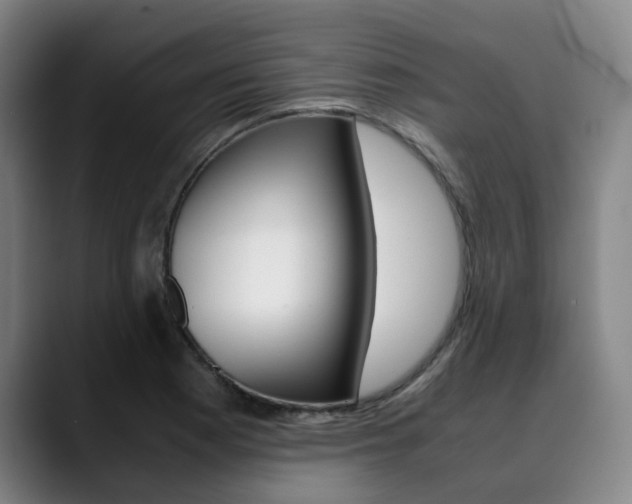 X0000090491177200707130925