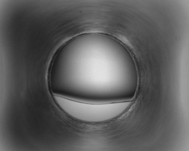 X0000090491181200707130925