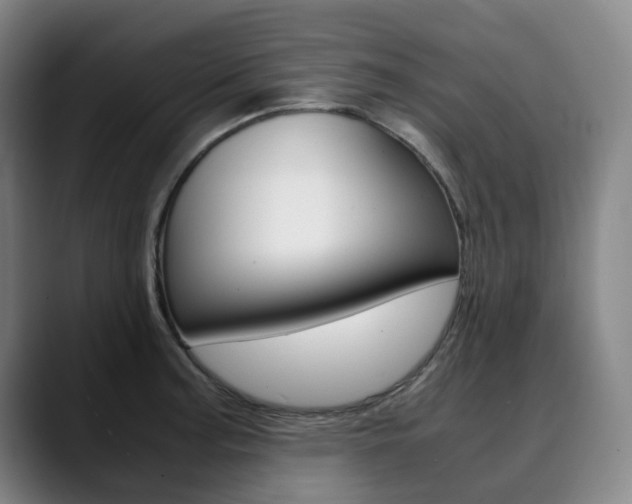 X0000090491187200707130925
