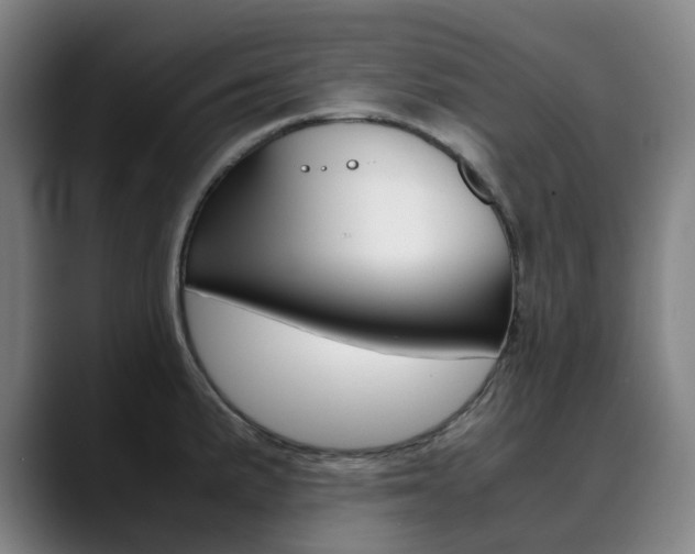 X0000090491191200707130925