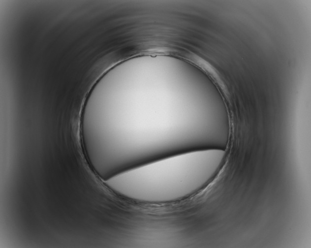 X0000090491194200707130925