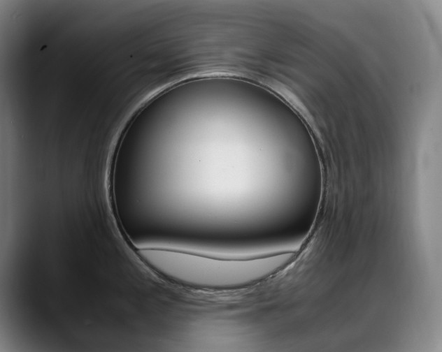 X0000090491197200707130925