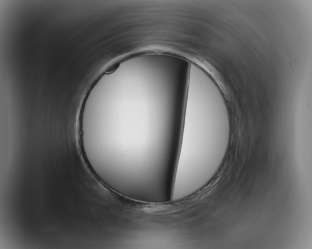 X0000090491199200707130924