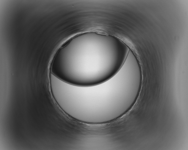 X0000090491200200707130924