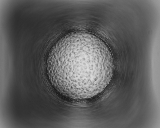 X0000090491201200707130924