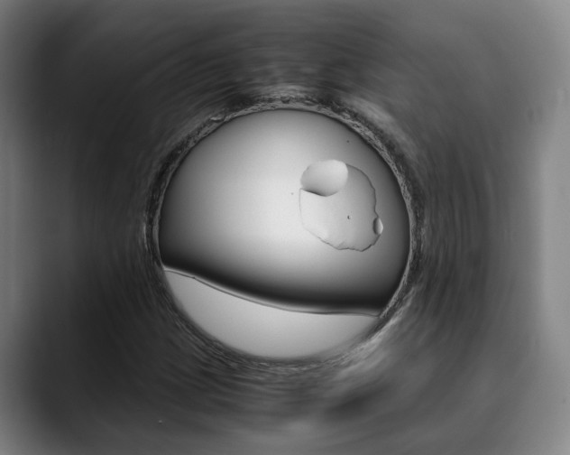 X0000090491209200707130924