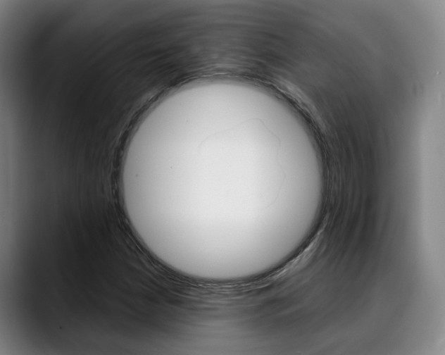 X0000090491210200707130924
