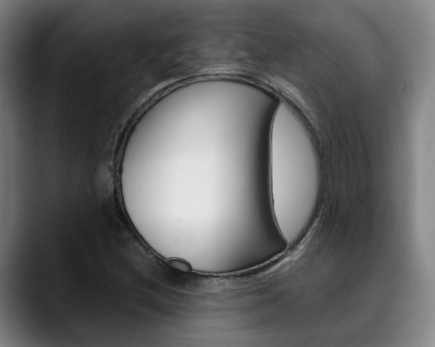 X0000090491212200707130924