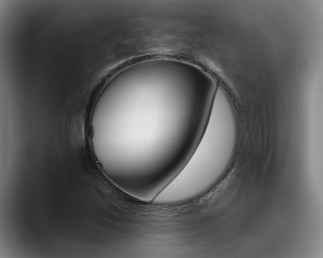 X0000090491214200707130924