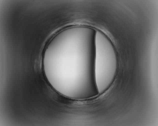X0000090491224200707130924