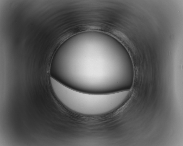 X0000090491225200707130924