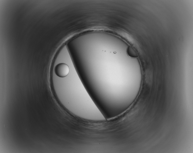 X0000090491229200707130924