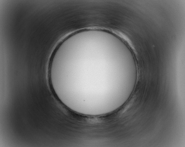 X0000090491231200707130924