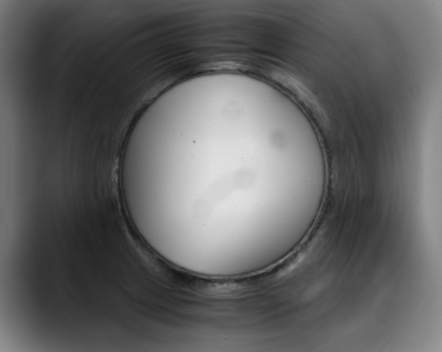 X0000090491233200707130924