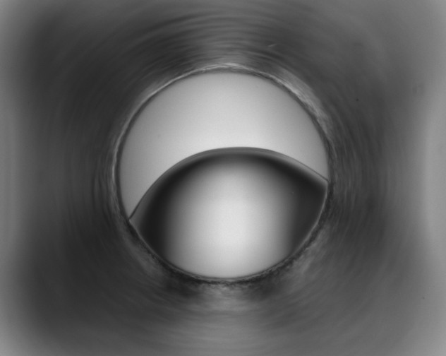 X0000090491234200707130924