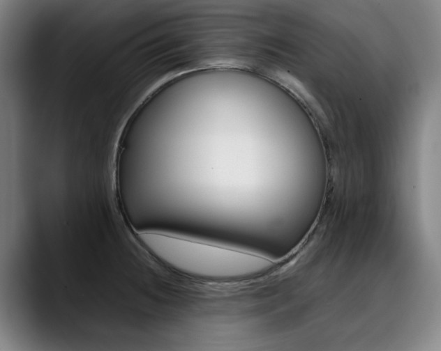 X0000090491236200707130924