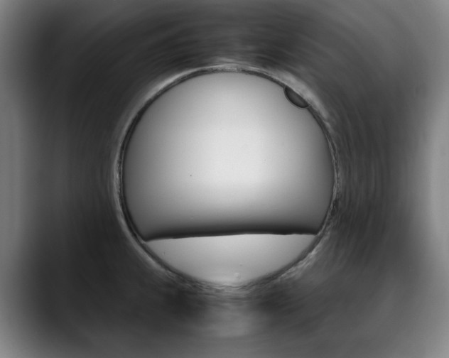 X0000090491239200707130924