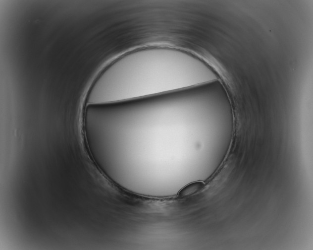 X0000090491240200707130924
