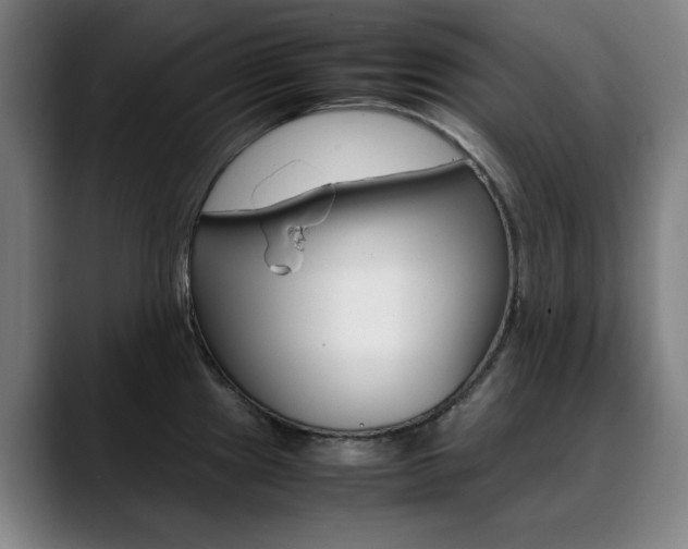 X0000090491241200707130924