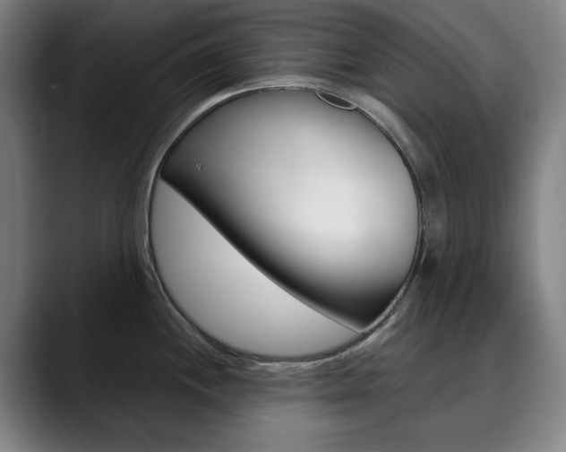 X0000090491244200707130924