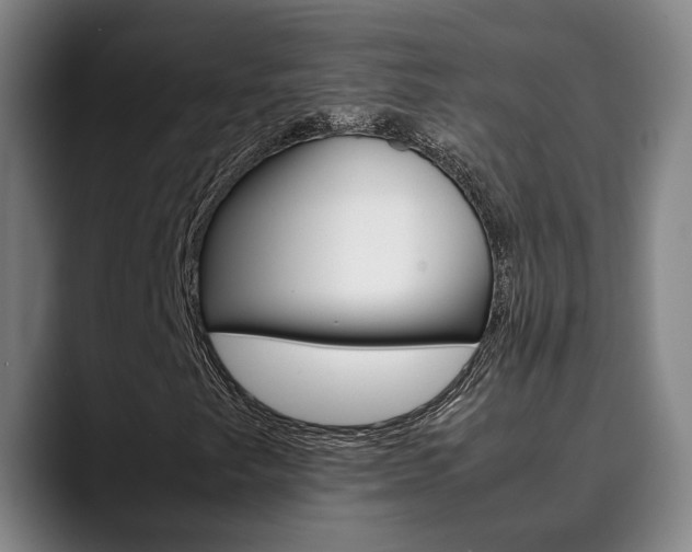 X0000090491249200707130924