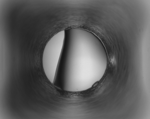 X0000090491252200707130924
