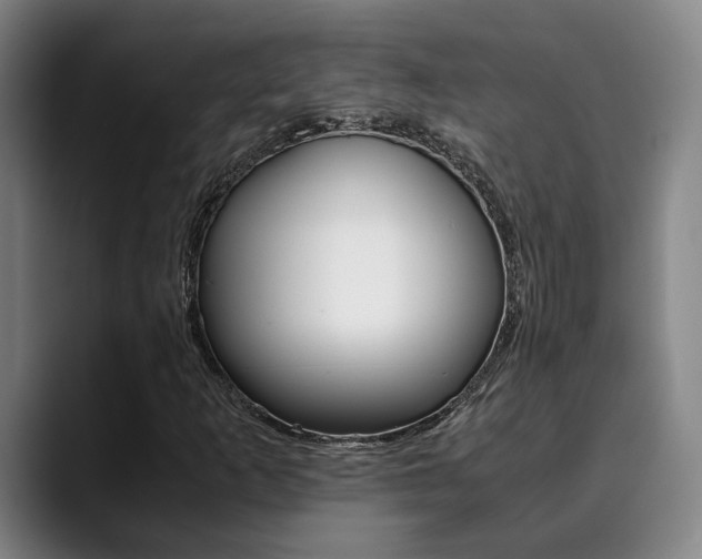 X0000090491253200707130924