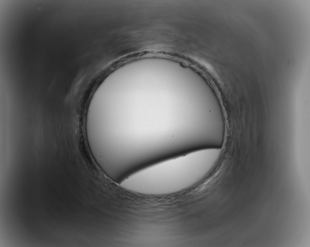 X0000090491263200707130924