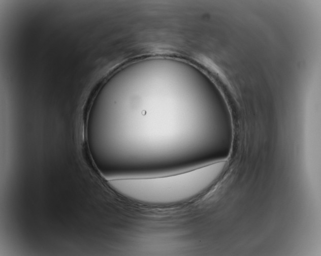 X0000090491269200707130924