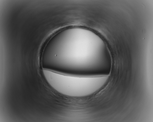 X0000090491270200707130923
