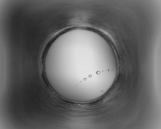 X0000090491271200707130923