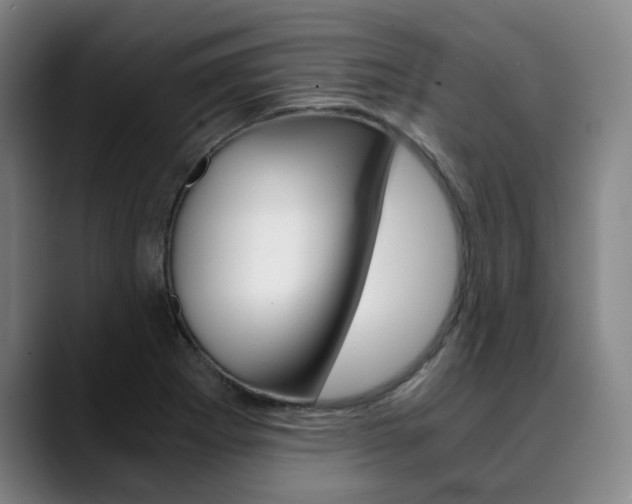 X0000090491273200707130923