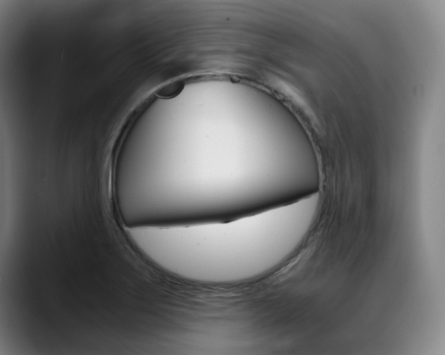 X0000090491275200707130923