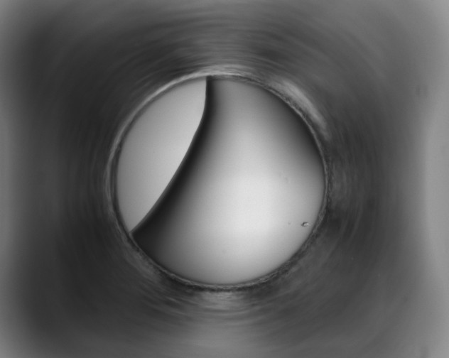 X0000090491276200707130923