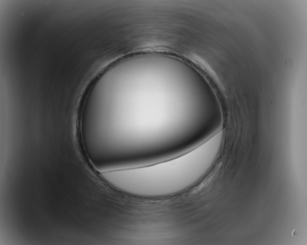 X0000090491277200707130923