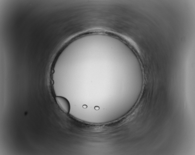 X0000090491279200707130923
