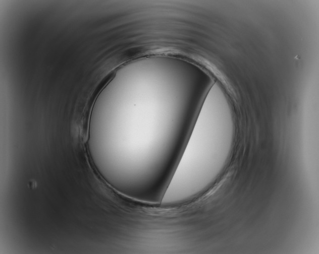 X0000090491281200707130923
