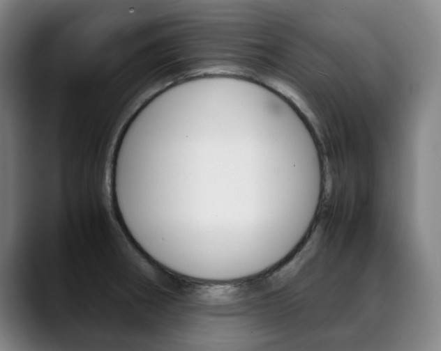 X0000090491282200707130923