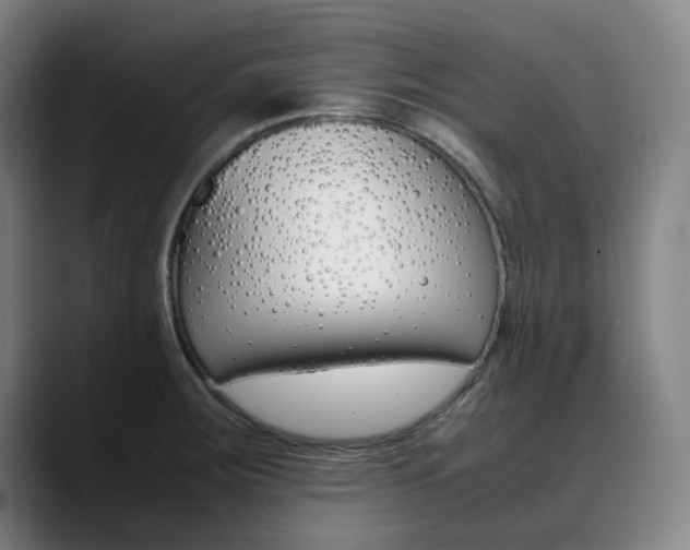 X0000090491283200707130923