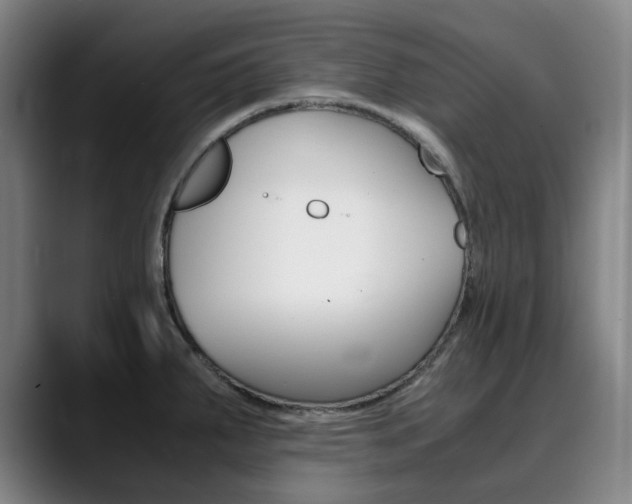 X0000090491287200707130923