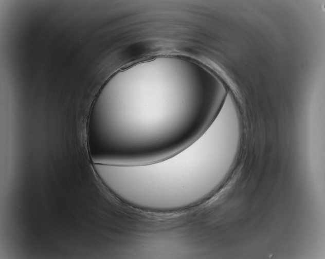 X0000090491289200707130923