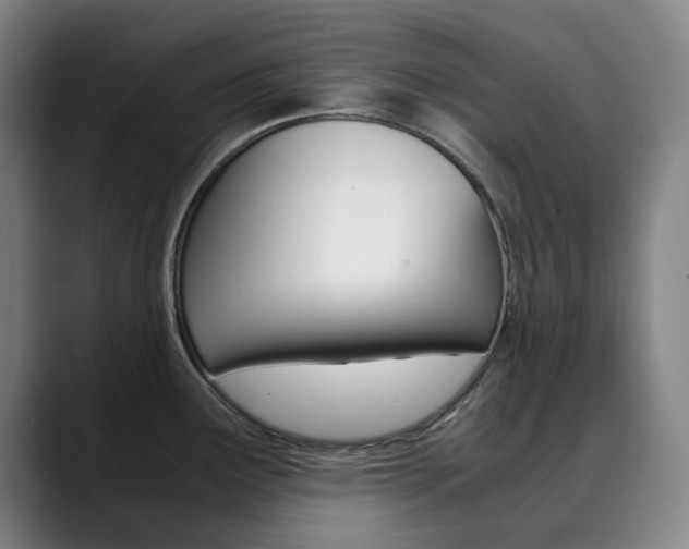 X0000090491291200707130923