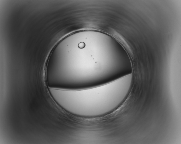 X0000090491292200707130923